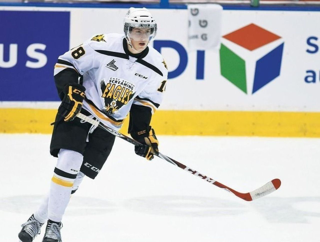 NHL PierreLuc Dubois Potential Rookie of The Year